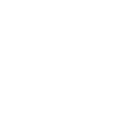 Decoration icon