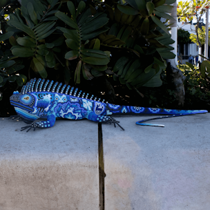 Iguana sculpture covered with blue and white beads